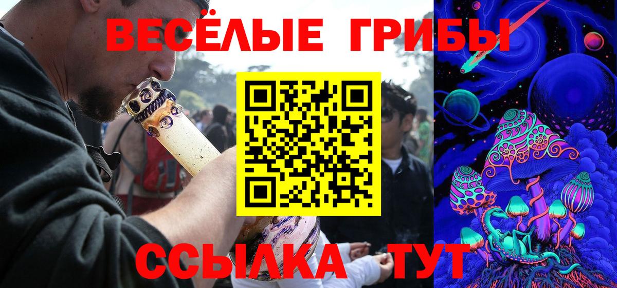 Псилоцибиновые грибы Cubensis Бийск